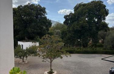 El Domingo en el Valle - Foto 9