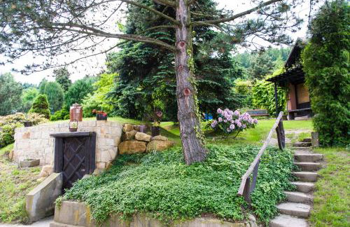 Agroturystyka Wzgórze Magnolii - Foto 26