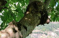 La Casetta di Lele e Schina - Photo 57