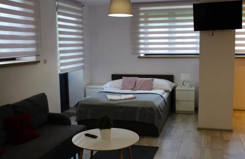 Apartamenty Świstak Maciej Dunajczan - Foto 5