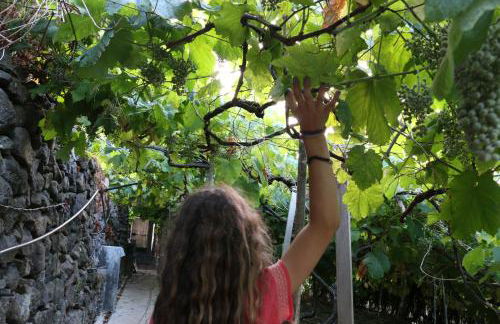 A Casa Estrelícia-Dourada Garcês - Foto 39