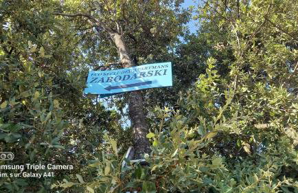 Eco Secluded apartments Zabodarski - Foto 5