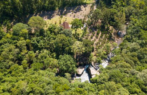 Canto da cascata - Foto 62