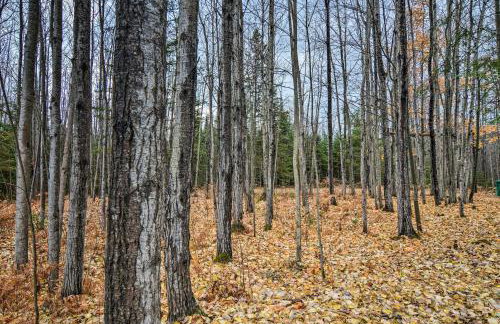 Camp Tony with Trail Access Walk to Lake Huron! - Photo 23