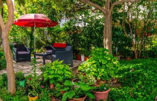 Apartments Emi - Photo 12