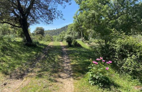 Finca La Alcolehuela - Foto 24