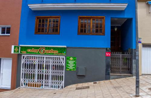 Flor del Drago - Foto 27