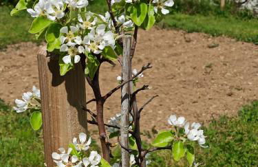 Logement avec terrasse Millau - Foto 12