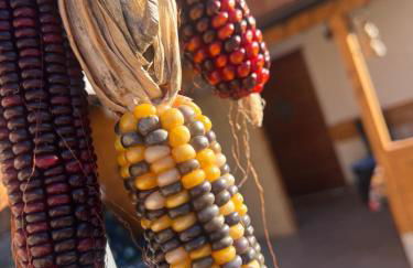 Appartamento Sara - Photo 34