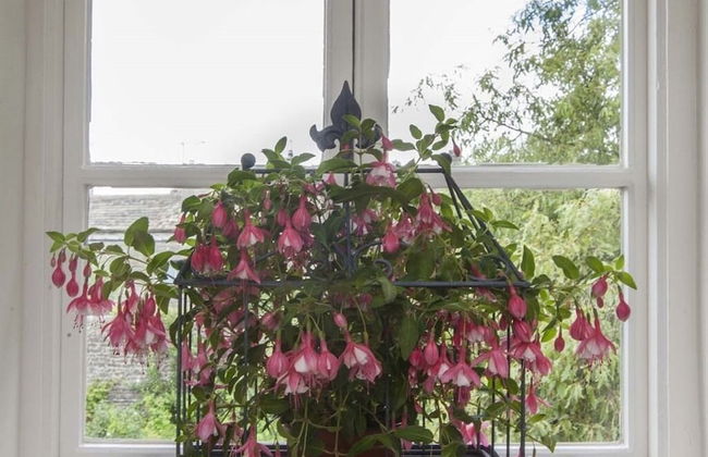 Linton Court Coach House - Photo 22