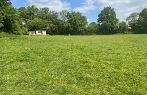 Cleo’s Hut - Foto 16