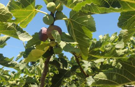 Rifugio al mare - Foto 17