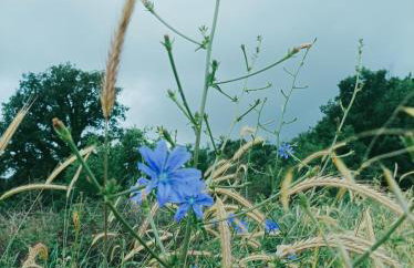 Green paradise - Photo 26