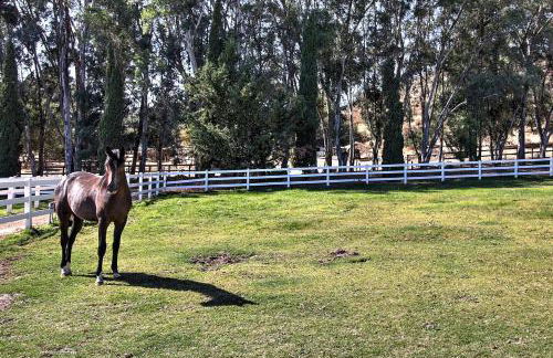 Wine Country Ranch Escape - Foto 18