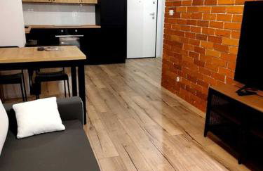 Warsaw Loft Apartment - Grill Terrace on the Roof - Foto 1