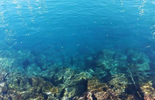 Rosas by Villas Rinamar - Foto 28