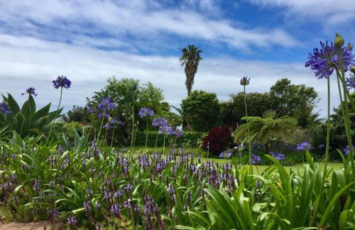 Lobo do Mar - Foto 22