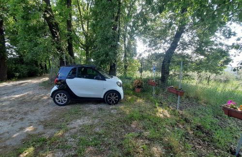 Poggio della Roverella Country House - Foto 10