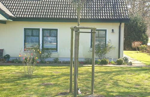 Ferienwohnung Dück - Foto 8