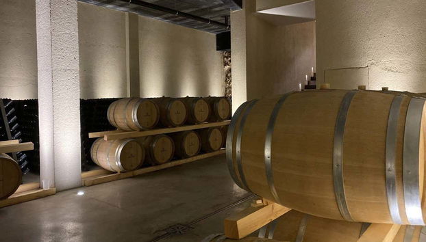 Tour del vino por Olbia - Foto 5