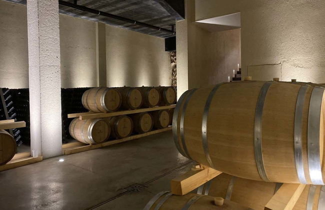 Olbia Wine Tour - Photo 5