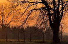 Siedlisko Komory - Foto 60