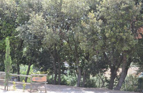 Agriturismo La Ghiraia - Foto 25