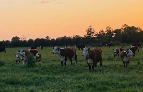 Deepmoor Farmhouse, Doveridge, Derbys. - Foto 11