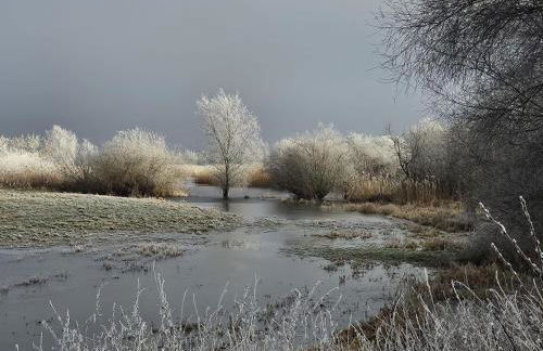 Holiday Home Havel-Domizil by Interhome - Foto 27