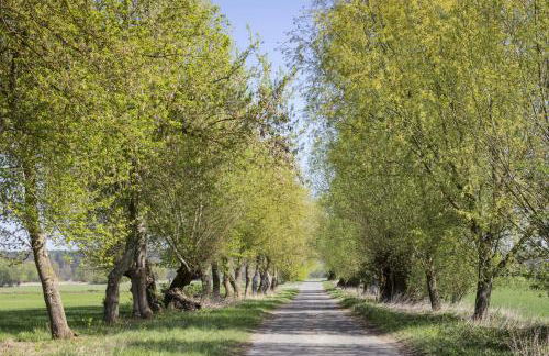 Apartment in Müncheberg 53547 - Photo 21