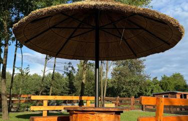 Ranczo Nad Wodami - Foto 29