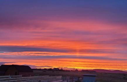 Achmeney Glamping larger than Average pod - Photo 11