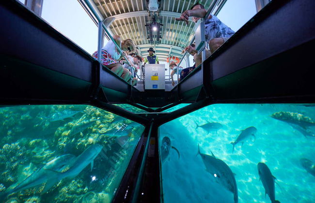 Excursión a Green Island - Foto 5