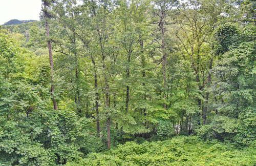 Stunning Mountain Cabin with Hot Tub and Game Room Near Asheville in Old Fort, NC - Foto 37