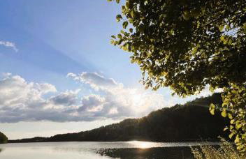 Domki na Kaszubach u Madzi - Foto 56