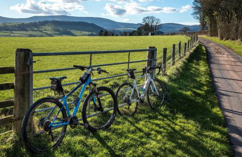 Glanpant Bach - Photo 4