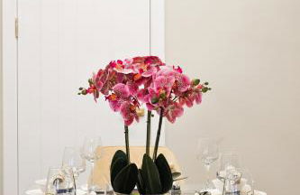 Wisteria House - Foto 36