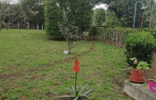 Quinta do Paraizo - Foto 31