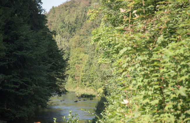 Comfortable Holiday Home in Saxony With Terrace - Foto 59