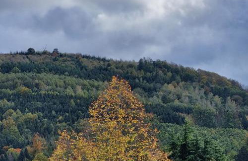 Ferienwohnung Waldblick - Photo 10