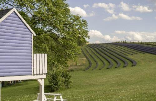 Lawendowa farma Home&Spa - Foto 40