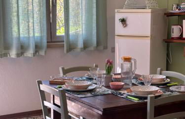 Voce del Casentino - Foto 7