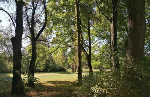 Ferienwohnungen an der Hufeland-Therme - Foto 34