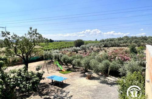 Le gite aux oliviers - Foto 18