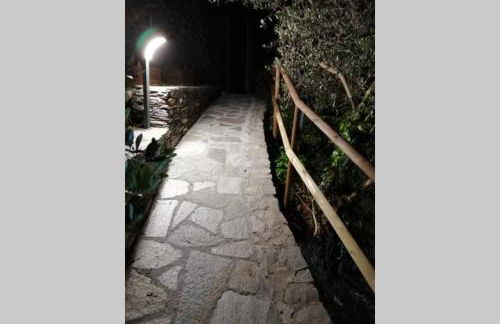 La Casetta di Molly tra ulivi e roseto - Foto 13