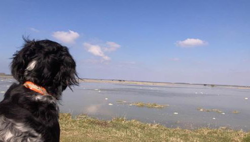 Maison Marie Port - Foto 2