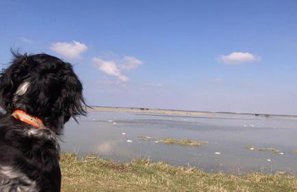 Maison Marie Port - Foto 2