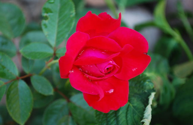 Ferienwohnung auf Pferdehof bei Neustadt - Foto 23