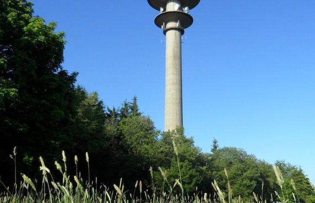 Dog-friendly Holiday Home in the Knull - Foto 32