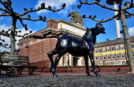 Hasenbau Wesel-Flüren - Foto 21